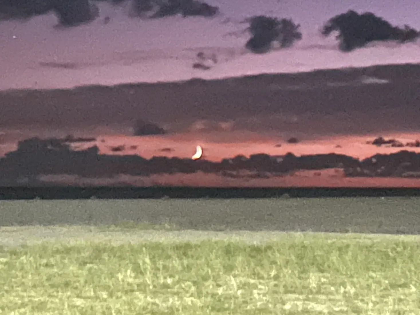 La luna nella luce del tramonto